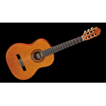 Famosa Guitar FC20C/38